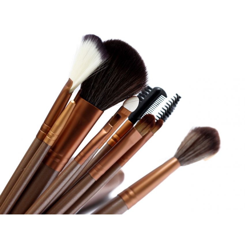 Naked 3 (12pcs) Brushes Set with Free Naked 3 Pouch